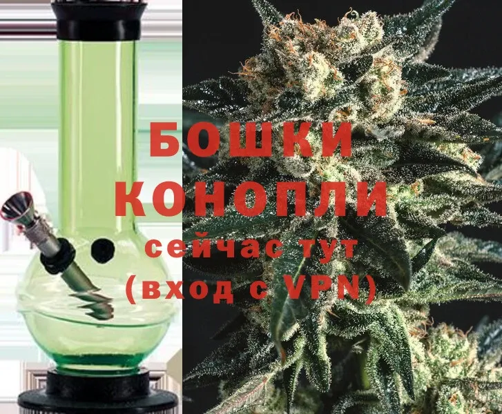 Бошки марихуана SATIVA & INDICA  наркошоп  Кировград 